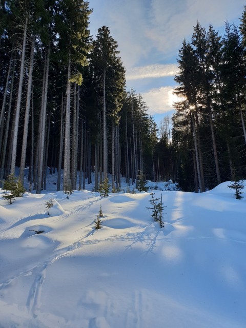 20190217_131306_resized.jpg